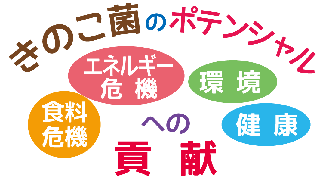 キノコ菌のポテンシャル